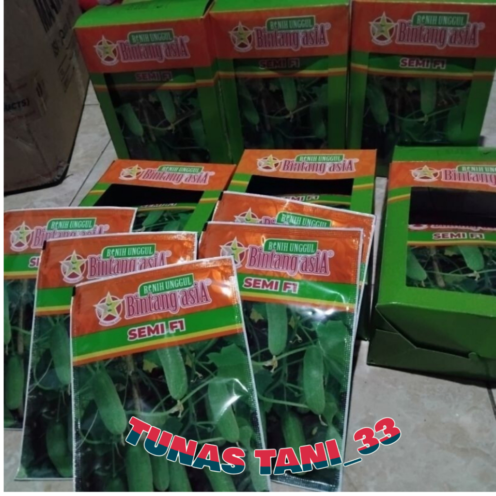 SEMI F1 - Benih timun SEMI F1 (20gr)- Bibit timun beby kecil bintang asia ini