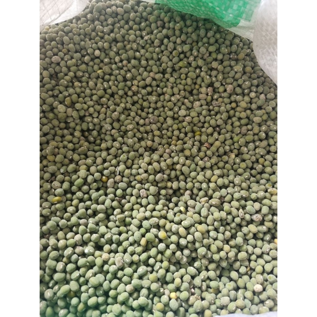 Kacang Hijau Bubur
