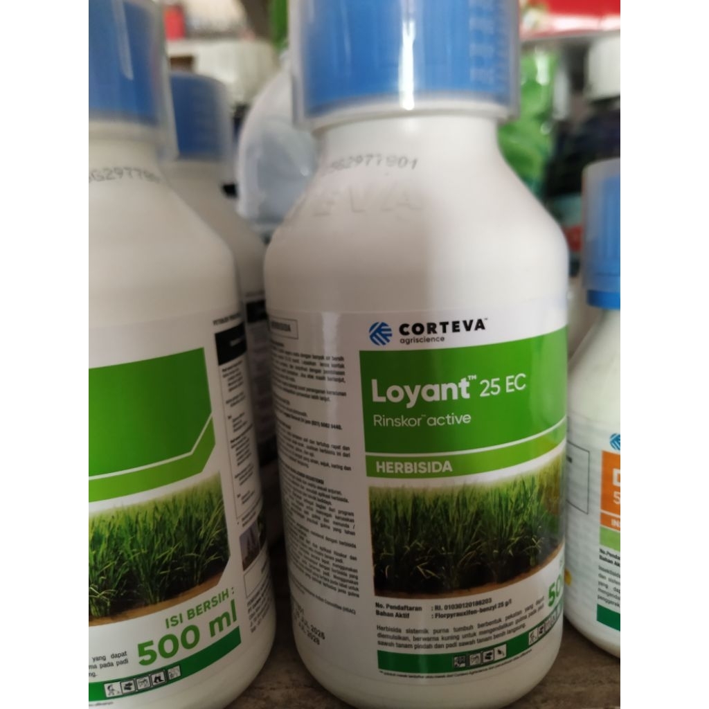 herbisida corteva loyant 25ec rinskor active 500ml