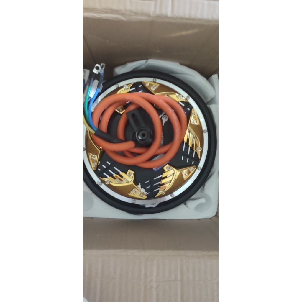 Bldc 10" 2000w 3000w RR JEMBER , DKYS hub motor, dinamo motor listrik