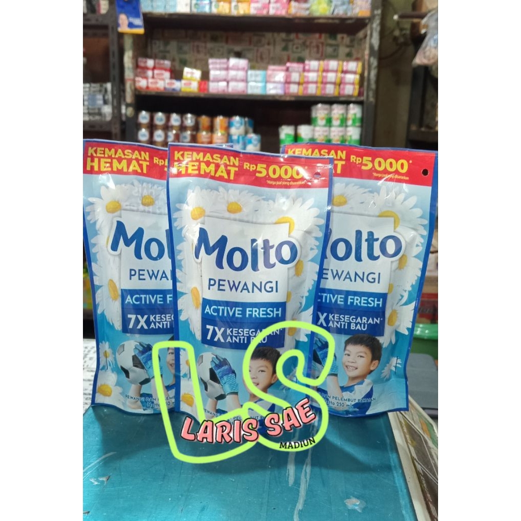 MOLTO PEWANGI REFILL 250ml