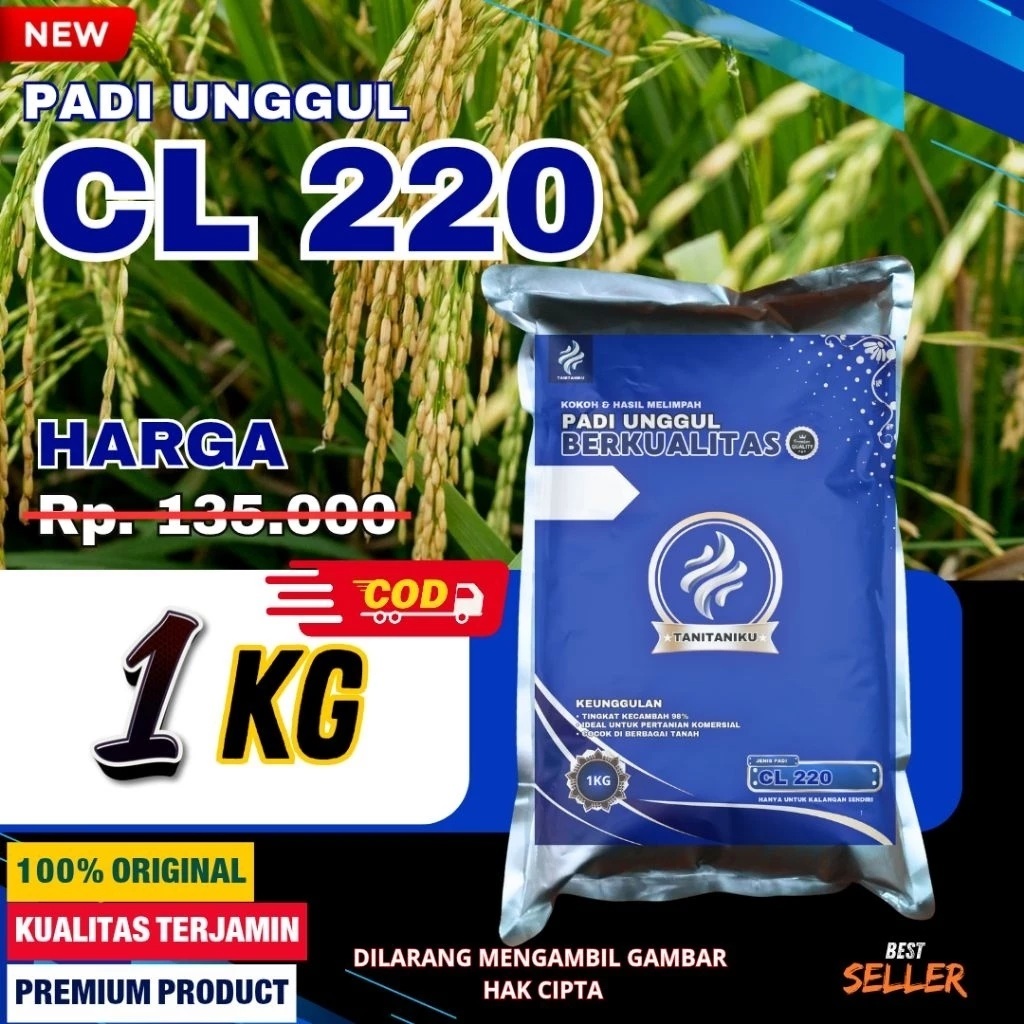 BENIH PADI CL 220 KEMASAN 1KG