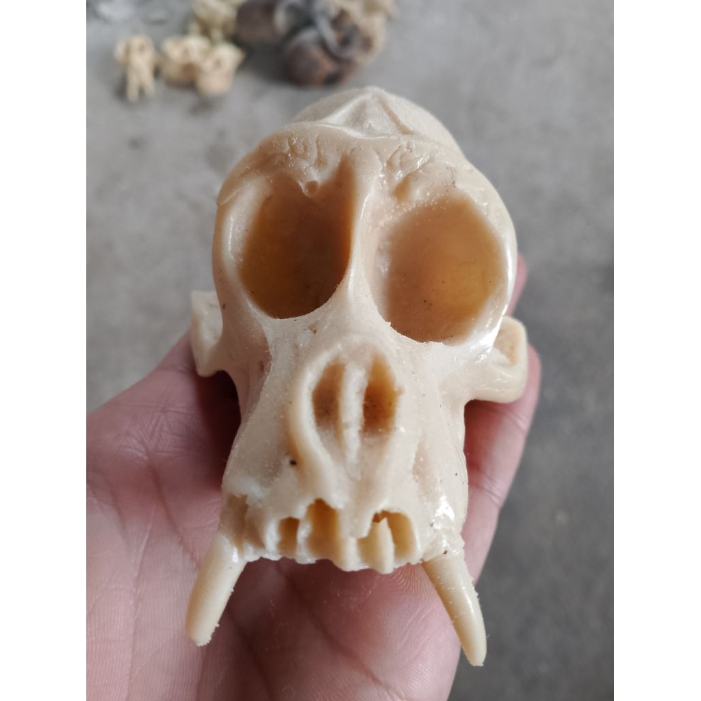 replika tengkorak monyet