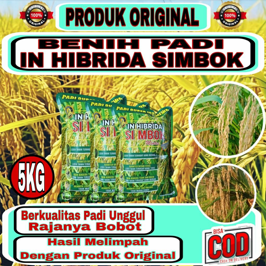 (5KG) BENIH PADI SIMBOK SUPER IN HIBRIDA