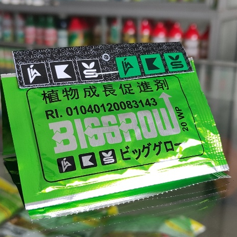 Big Grow 5 Gr ZPT Pembesar Buah
