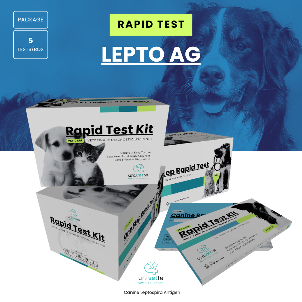5 Test Kit/Box: LEPTO Ag Rapid Test Kit/Canine Leptospira Antigen/Pet Care/Canine Rapid Test/Test Ce