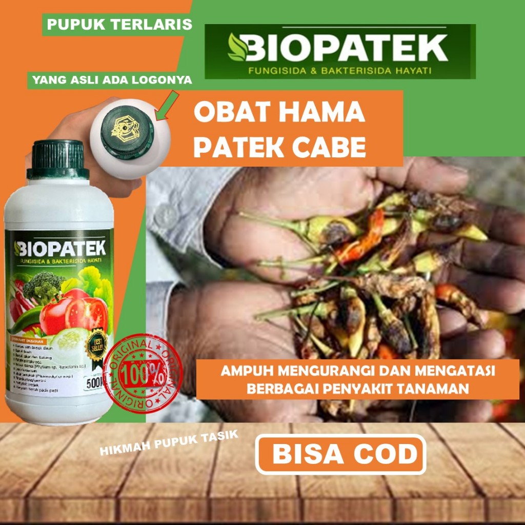 OBAT HAMA PATEK CABE ALAMI > OBAT PATEK CABE AMPUH > OBAT PATEK CABE ORGANIK - NOPATEK ASLI