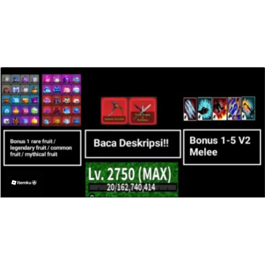 Akun Blox Fruit Level MAX