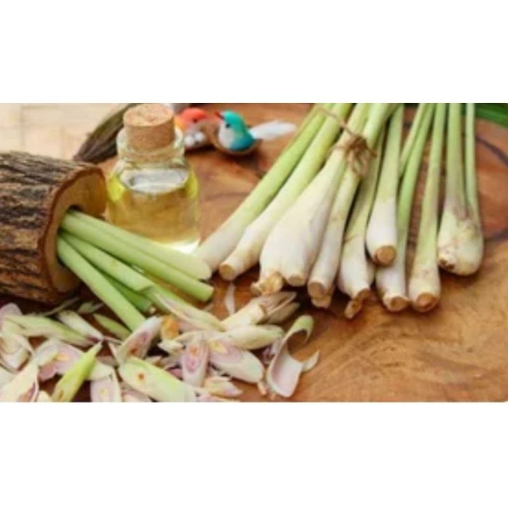 Sereh Lokal Segar 1 Kg sereh masakan sereh segar fresh 1kg/sereh masakan sereh segar fresh 1kg