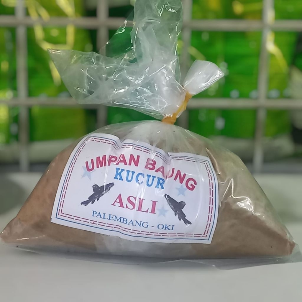 Umpan pancing gacor KUCUR ASLI PALEMBANG