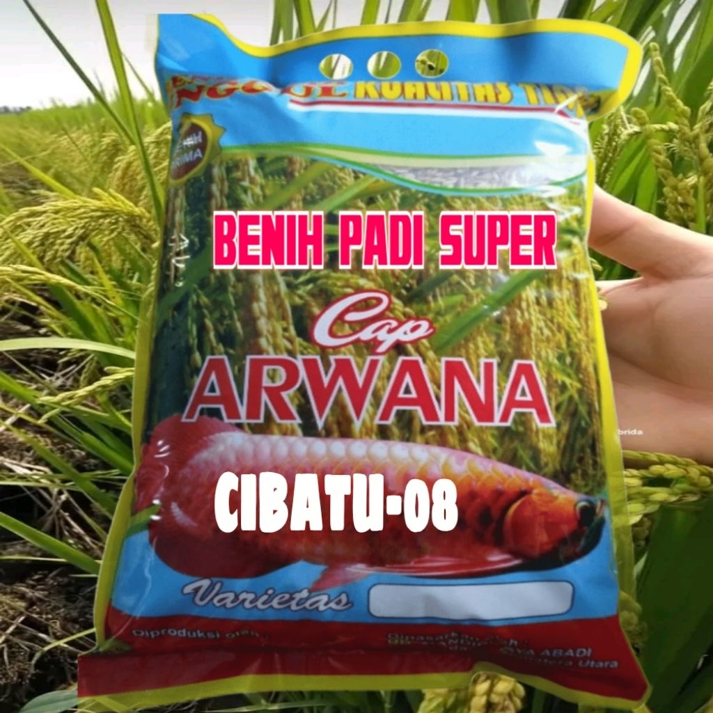 CIBATU-08 Kemasan 5kg Cap ARWANA, Benih Padi Super Unggul VARIETAS terbaik Kwalitas terjamin 100%ORI