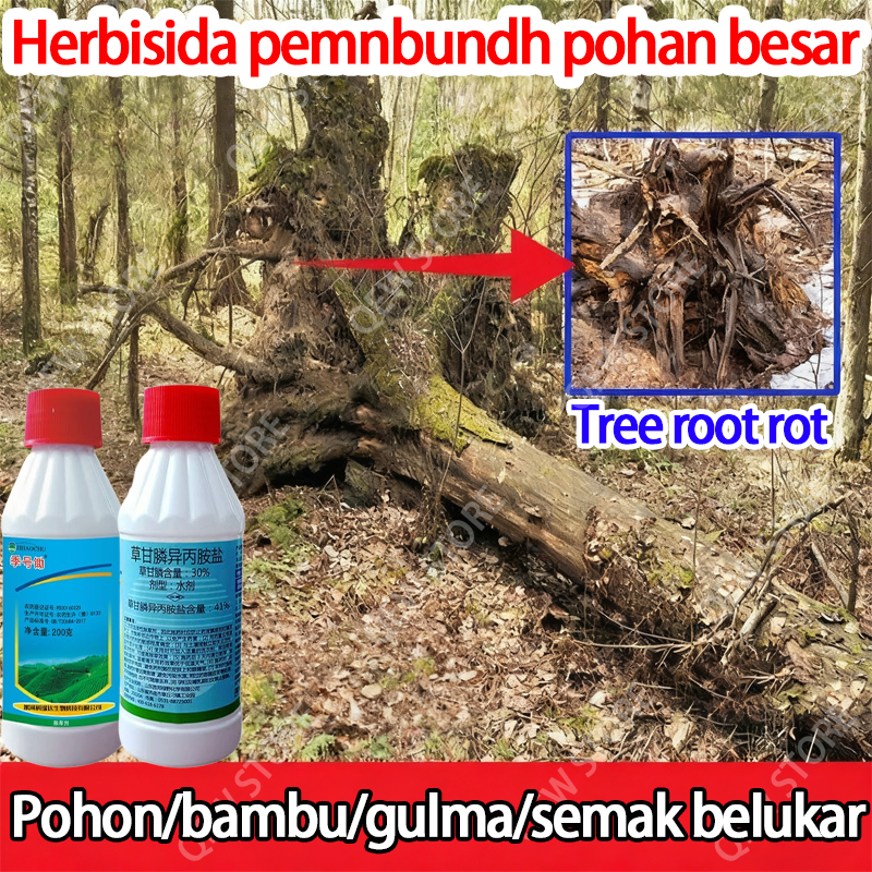 Oba Pembunuh Pohon Besar Racun Pohon Obat Pembasmi Rumput Racun Pembunuh Pohon Besar Herbisida Pembu