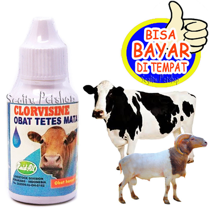 Obat Mata Sapi Kambing Penghilang Sakit Bengkak Infeksi Clorvisine
