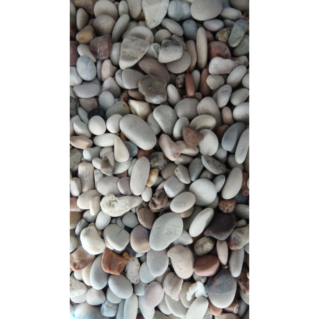 Batu koral sikat pancawarna harga perkarung