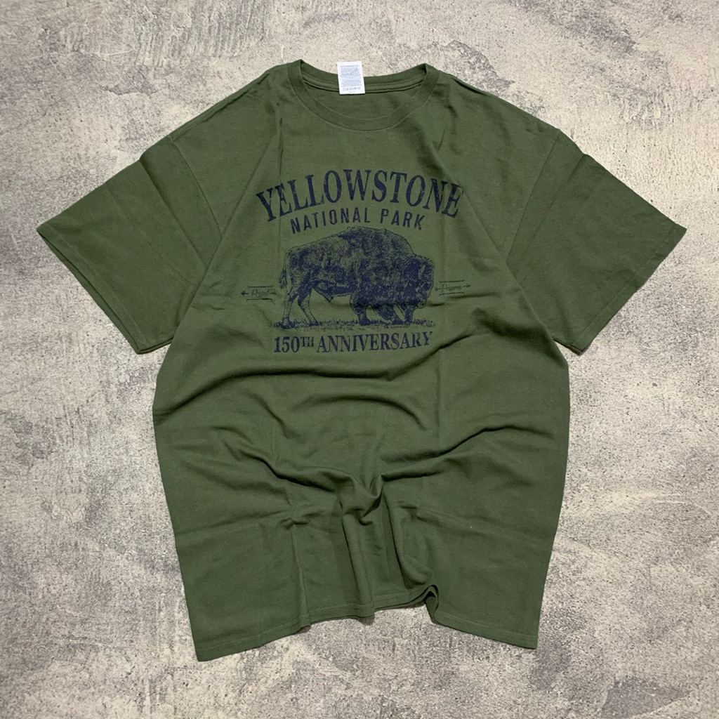 Delta Pro Weight Army T Shirt