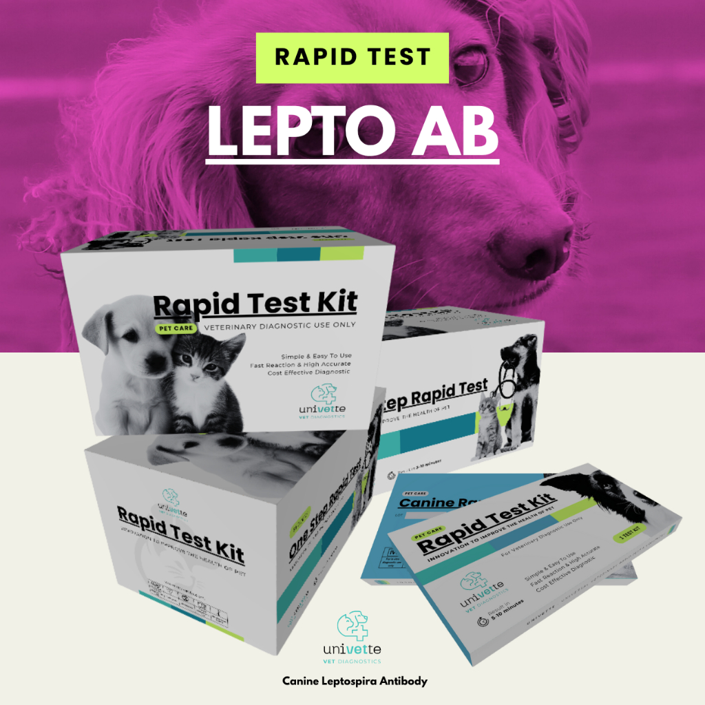 5 PCS/BOX : LEPTO Ab Rapid test kit/Canine Leptospira Antibody/Pet Care/Canine Rapid Test/Test Cepat