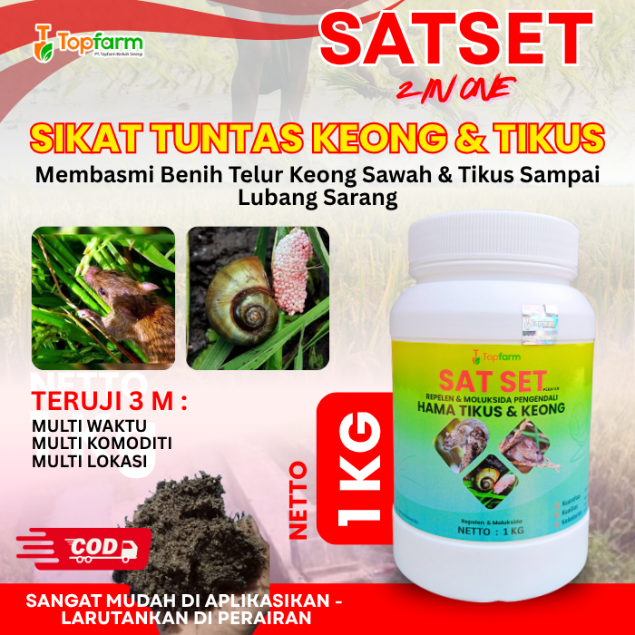 Obat Keong Sawah Paling Ampuh / Obat Keong Sawah Paling Manjur / Obat Keong Sawah Serbuk / Obat Tiku