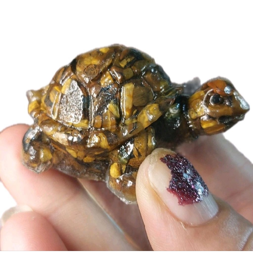 Pajangan Mini Turtle Tiger Eye Resin Art