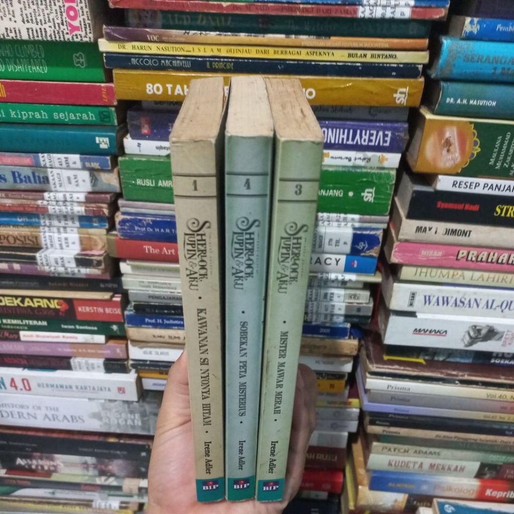 SATUAN - SHERLOCK LUPIN DAN AKU - IRENE ADLER - JKT