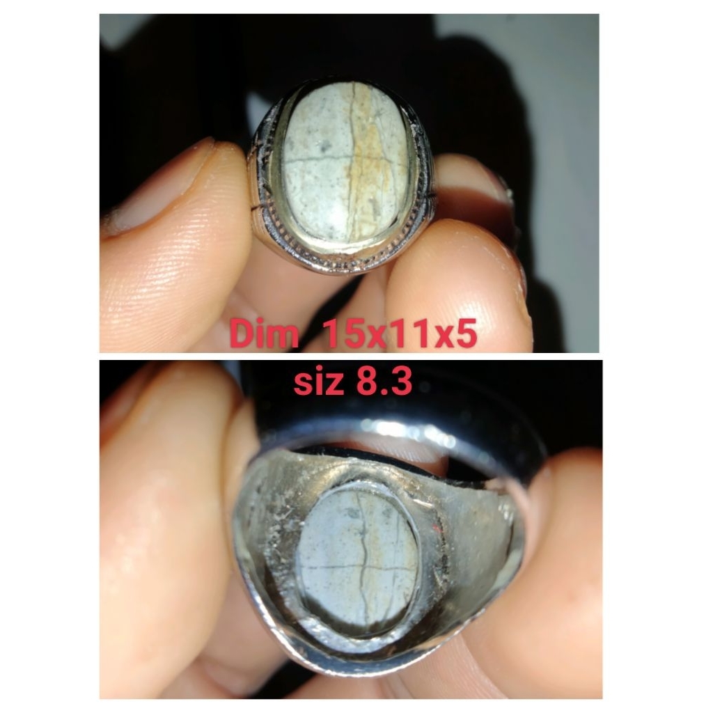 Vosil galih asem Tapak jalak