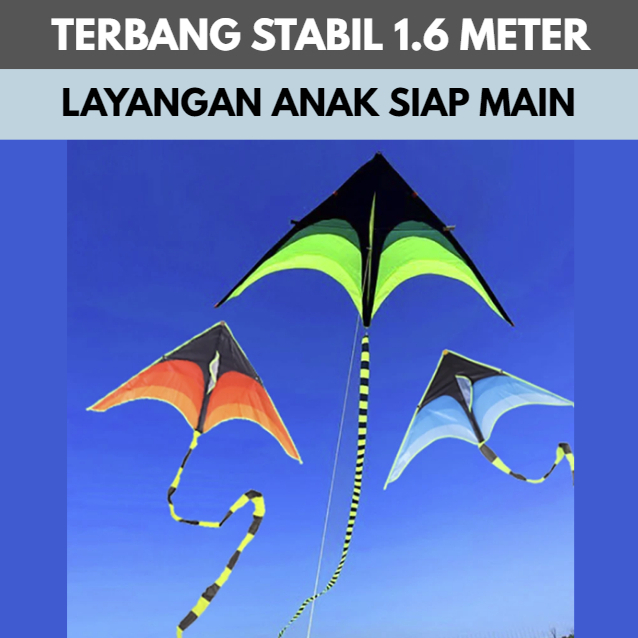 Layangan Anak Sport Besar WieKite HYK090 Mainan Outdoor Nilon Kuat Lengkap Benang Kite Untuk Pantai 