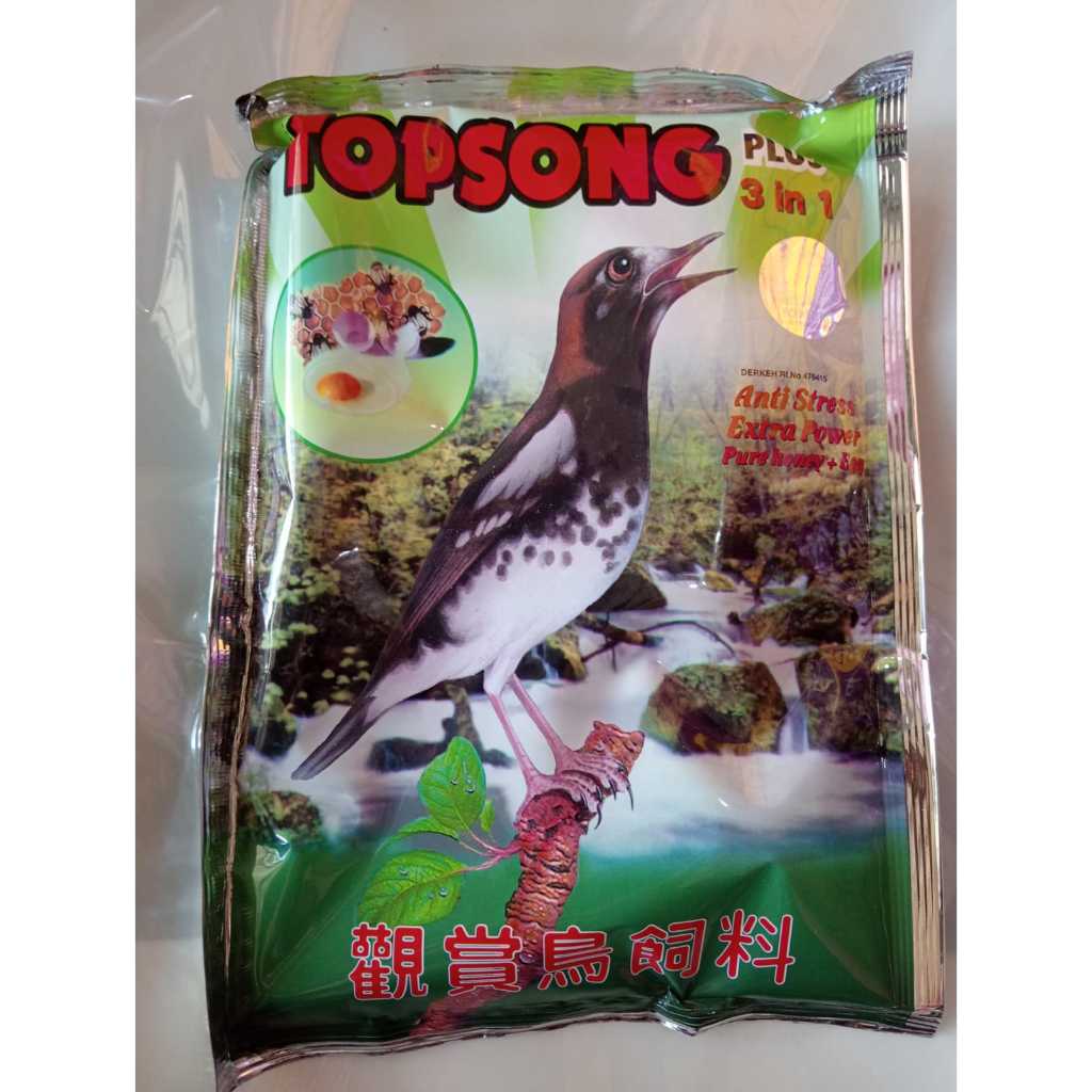 TOPSONG VOER COKLAT TOP SONG KUNING PUR PAKAN MAKANAN BURUNG OCEHAN MURAI KACER POCI  DLL