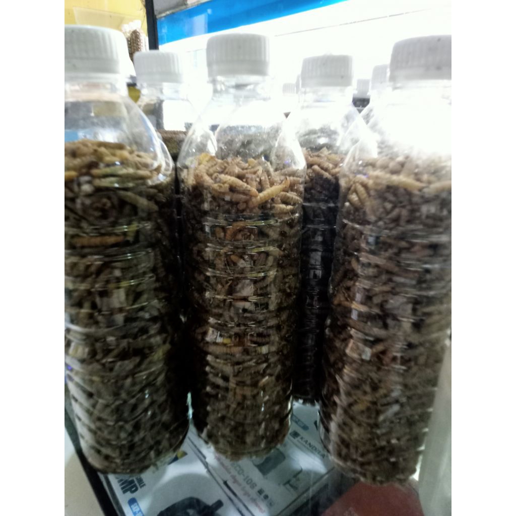 magot kering super kemasan 750ml / ulat magot kering makanan ikan