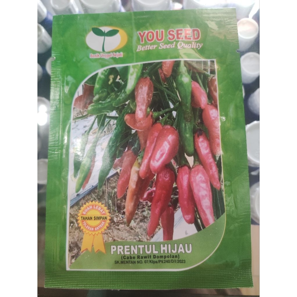 benih cabe rawit dompolan PRENTUL HIJAU dari YOU SEED