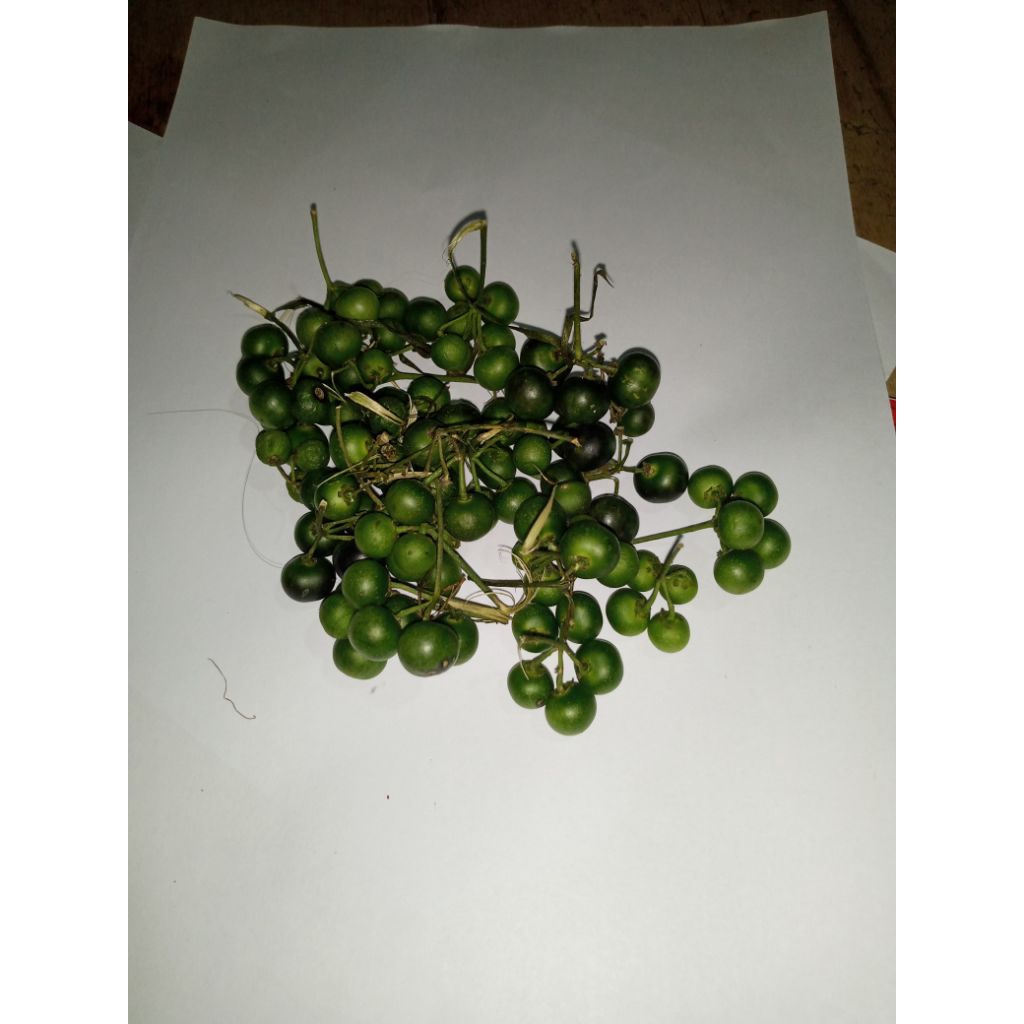 sayur buah leunca 500 grm