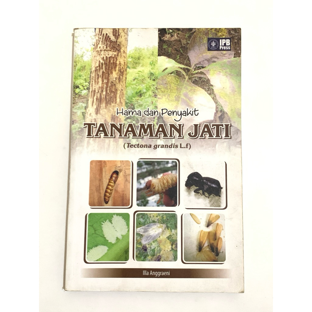 HAMA DAN PENYAKIT TANAMAN JATI