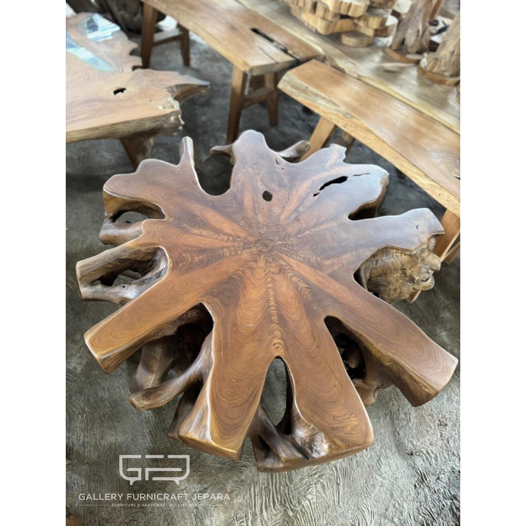 Meja Jati Akar Solid 100x100x40cm