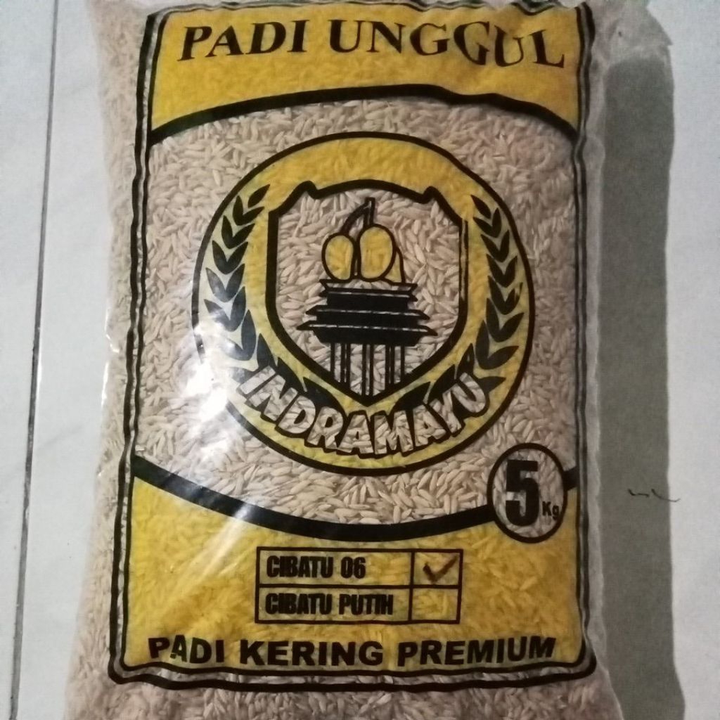 PADI CIBATU 06