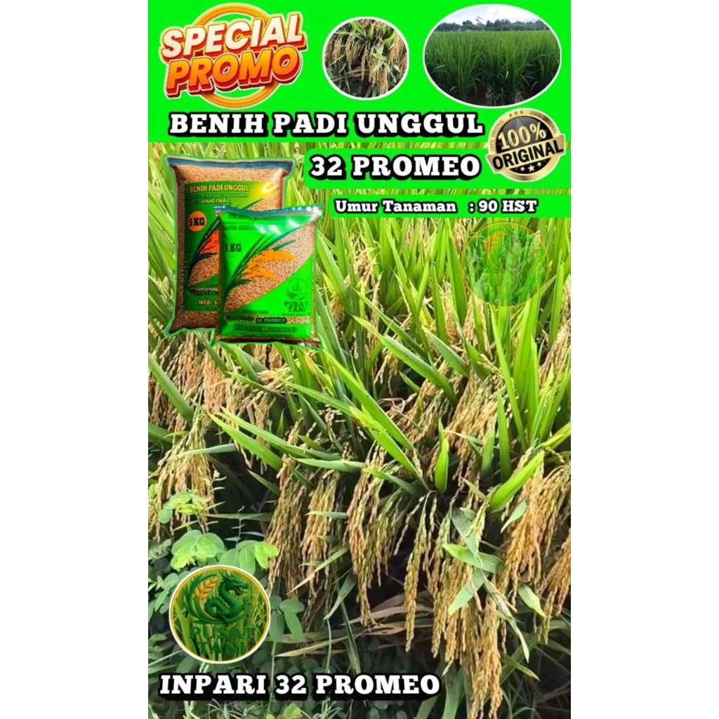 BENIH PADI SPECIAL INPARI 32 PROMEO KEMASAN 1KG