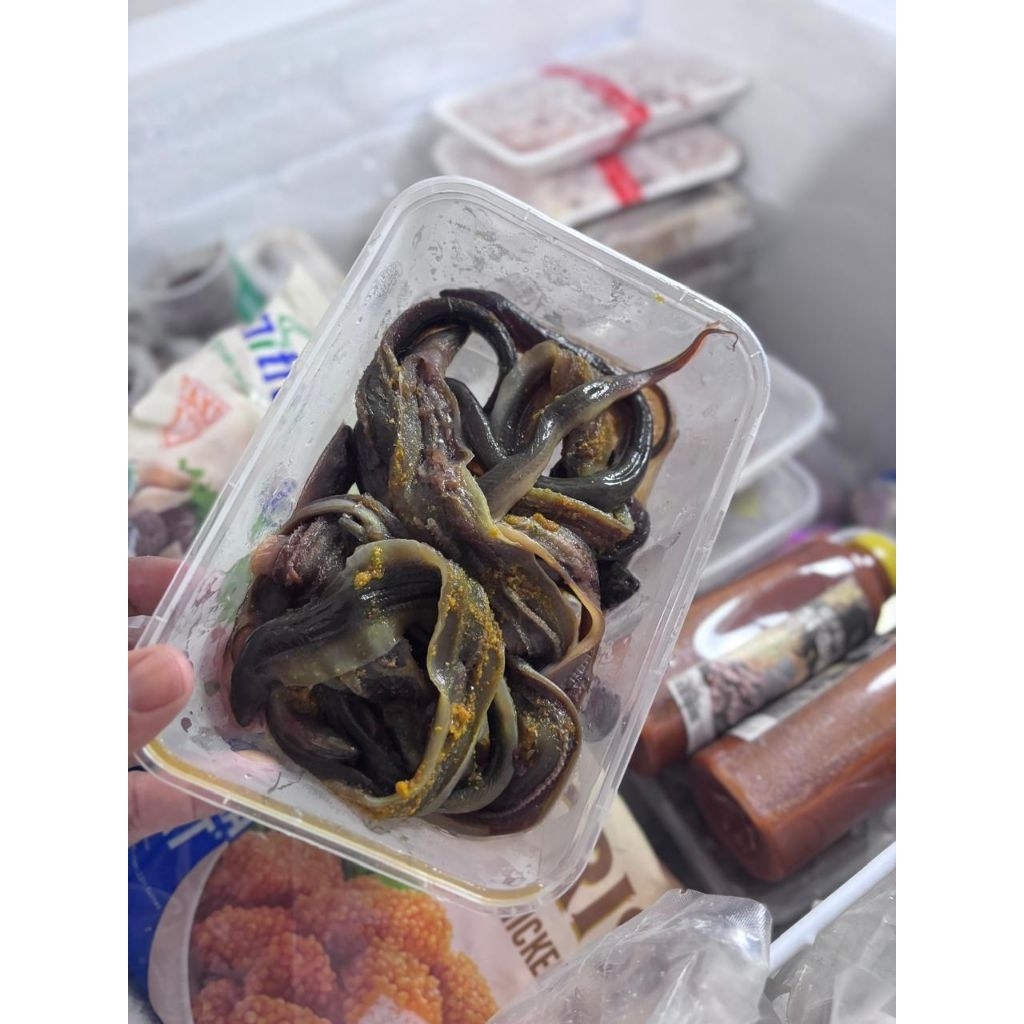 BELUT MARINASI FROZEN