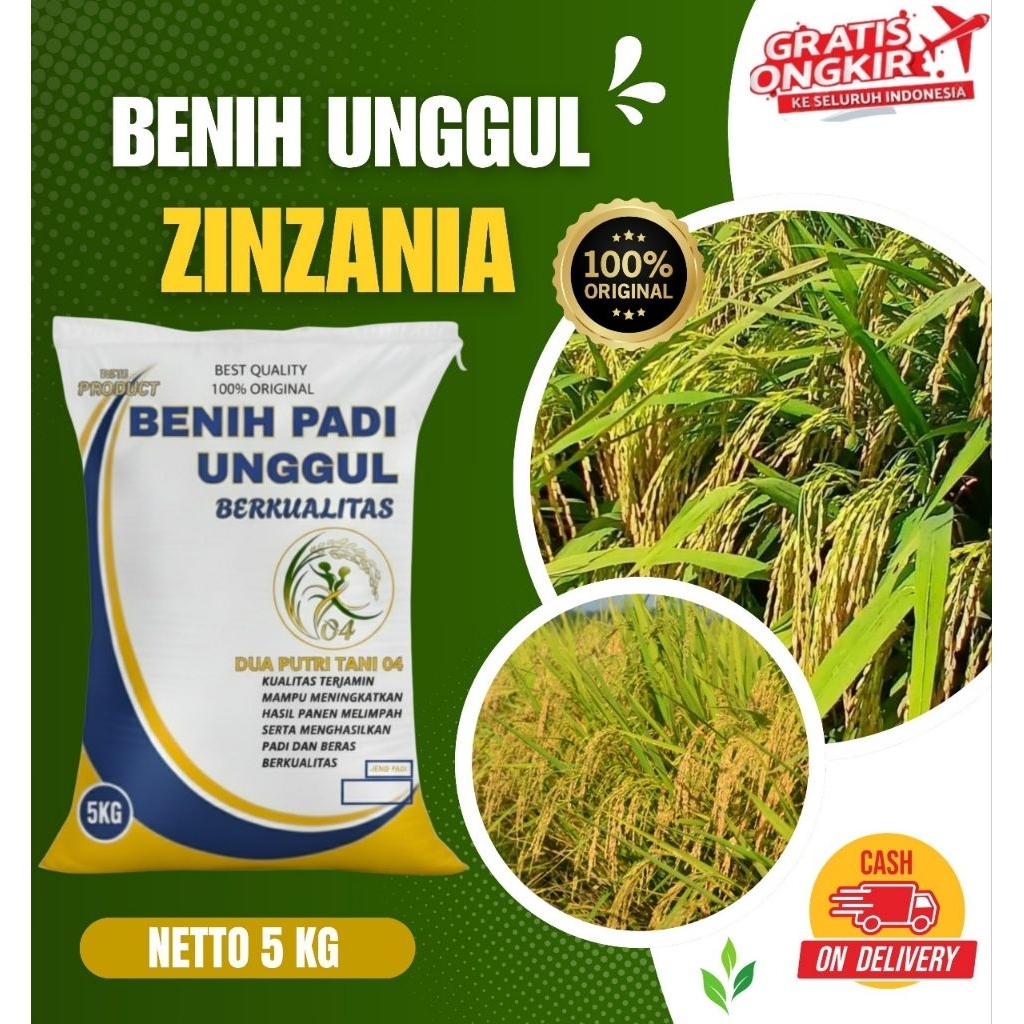 Benih padi unggu ZINZANIA kemasan 5Kg