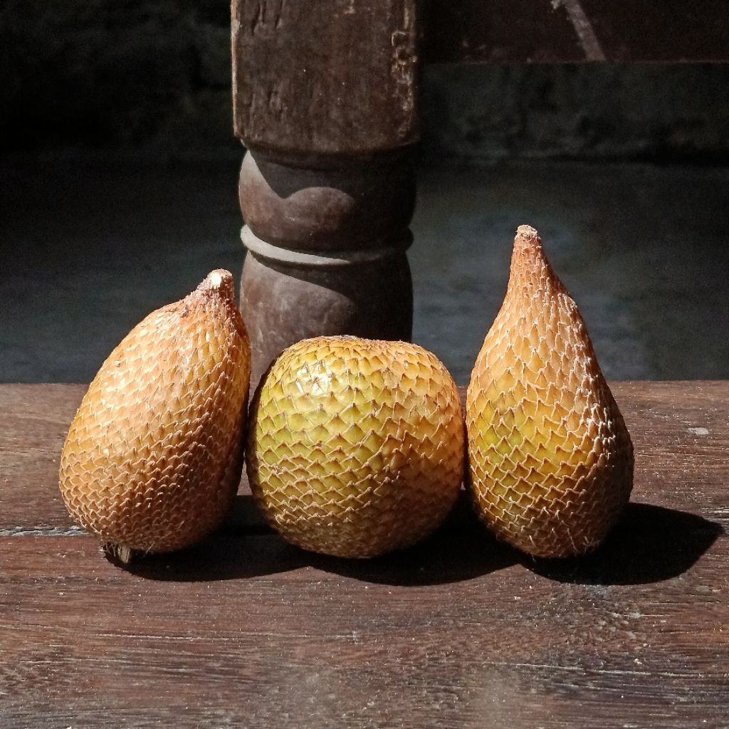 Buah Salak Gading Lereng Merapi 1kg