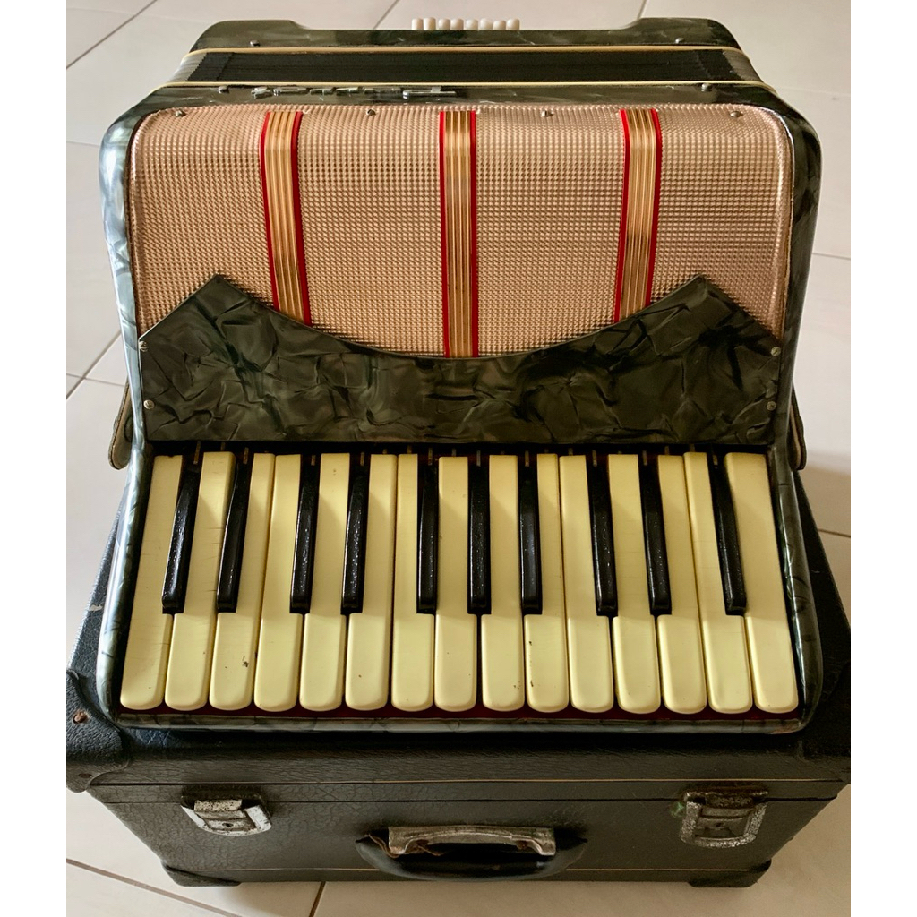 Accordion Parrot Mus 1301