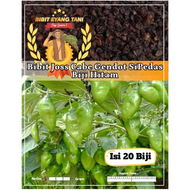 Bibit Cabe Gendot Sipedas Biji Hitam | Biji Benih Cabe Gendot | Cabe Bendot