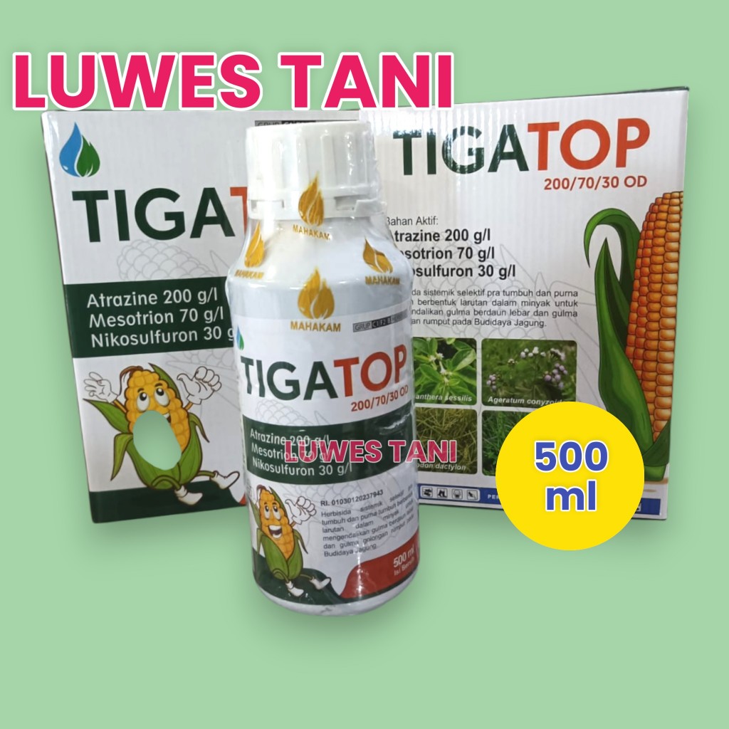 Tigatip 500ml herbisida selektif jagung, herbisida rumput di tanaman jagung