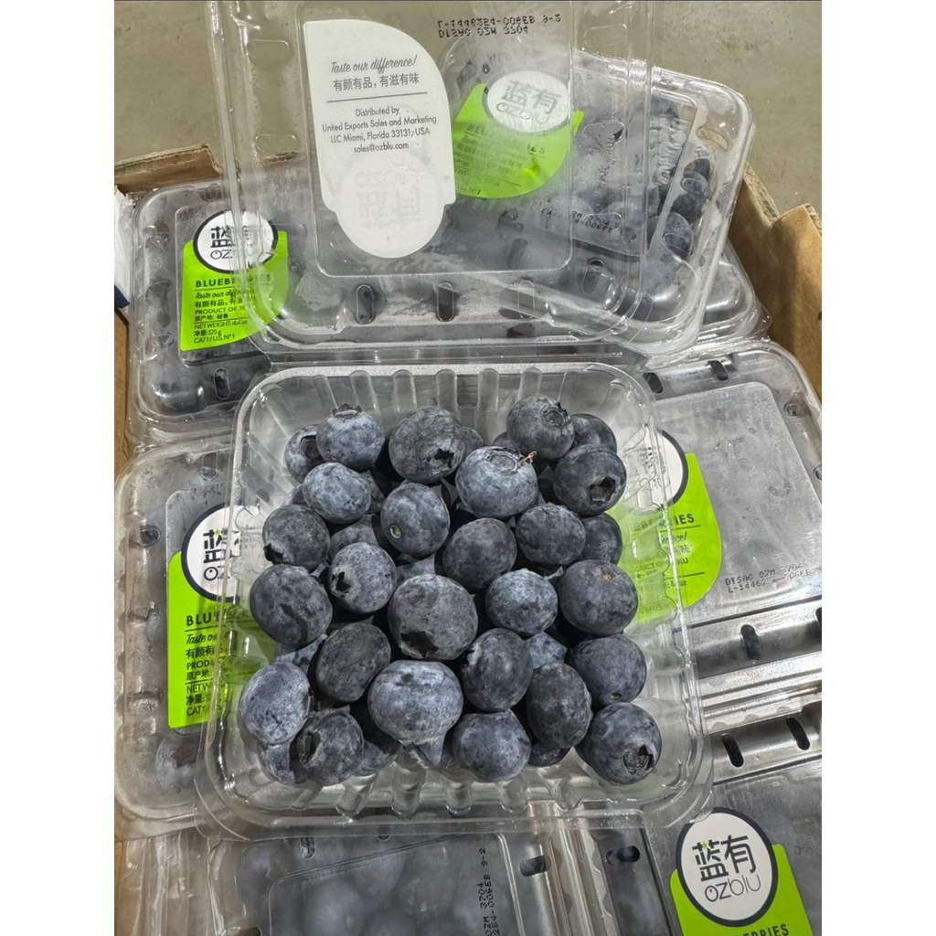 Buah Blueberry Ozblu / Blueberry Super Fresh 125gram / Pack