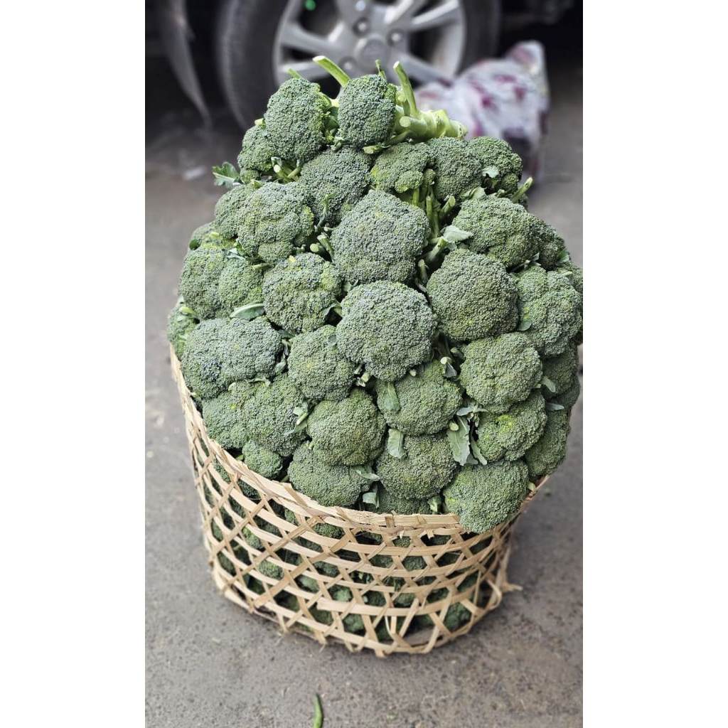 brokoli 1kg