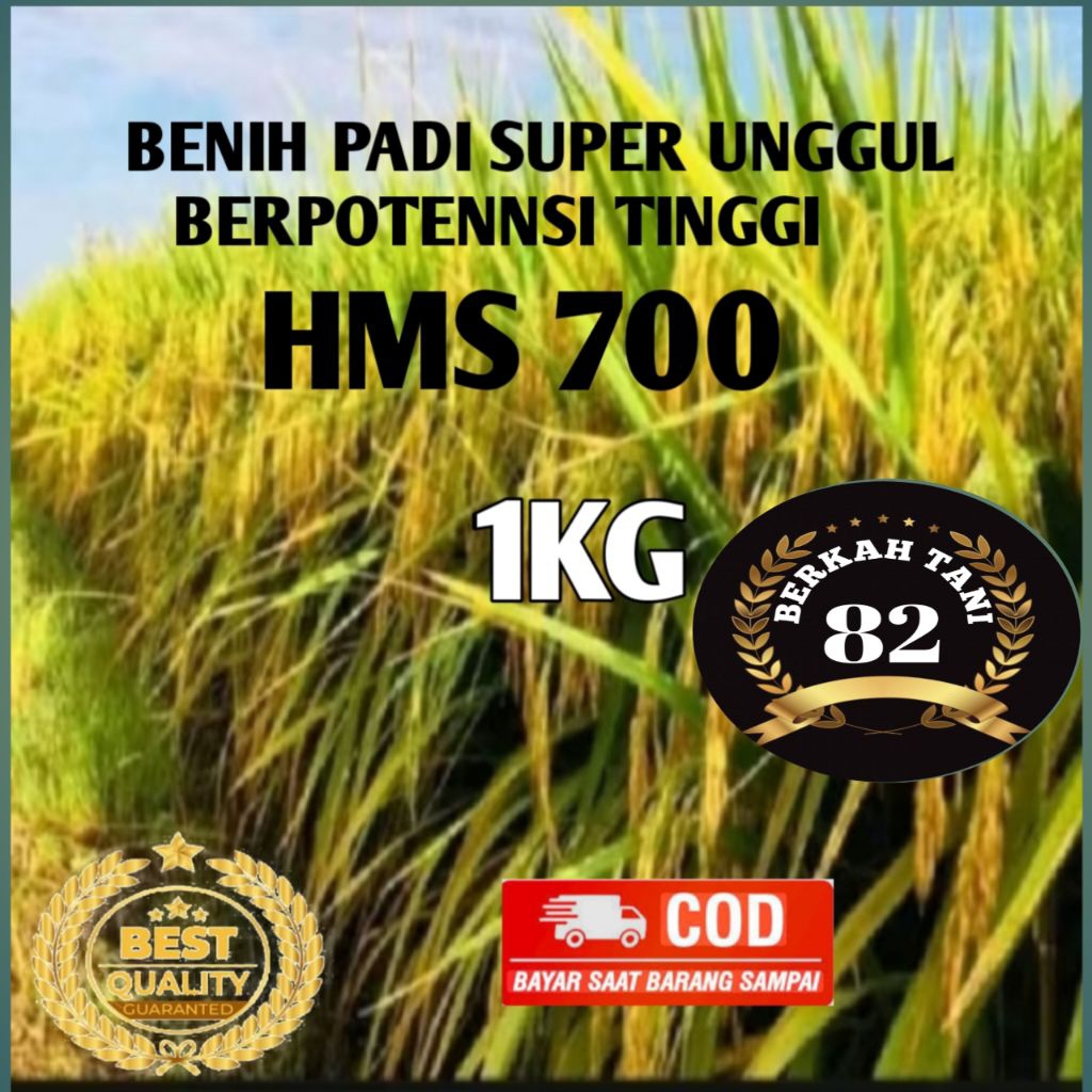 BENIH PADI HMS 700 BENIH PADI UNGGUL KEMASAN (1KG)