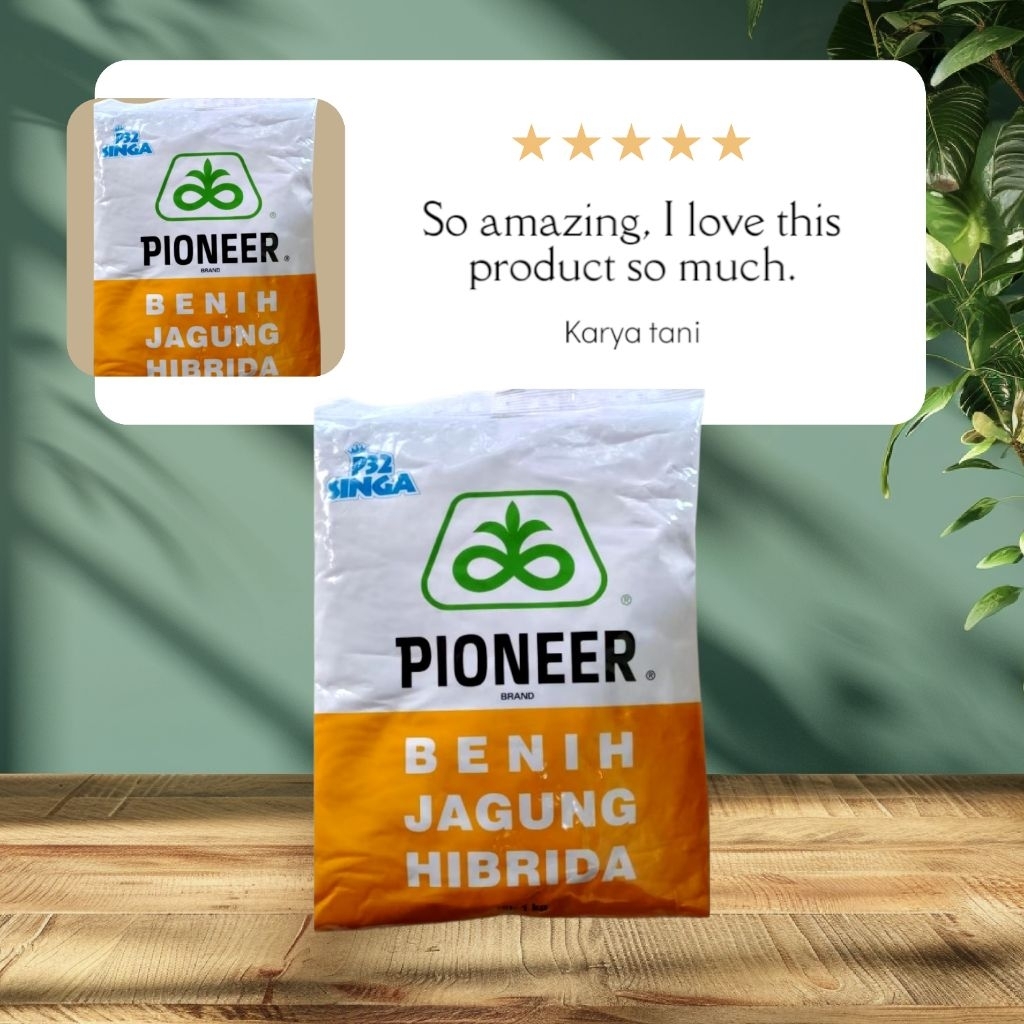 BENIH JAGUNG PIONER P32 SINGA 1 KG