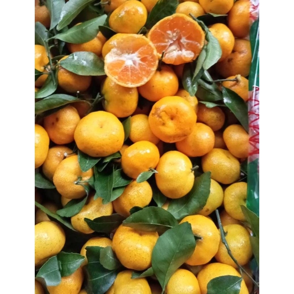 Indukbuah Buah Jeruk Santang Daun Manis Seger 1 Keranjang/Krat
