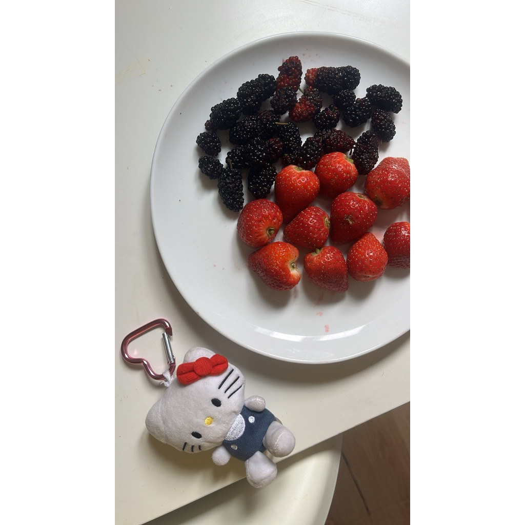 LINK CO IKEA KVISSLE