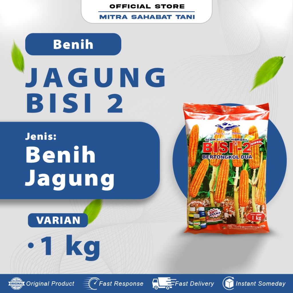 Benih Jagung BISI 2 1 KG / Benih Jagung Kapal Terbang Tongkol 2