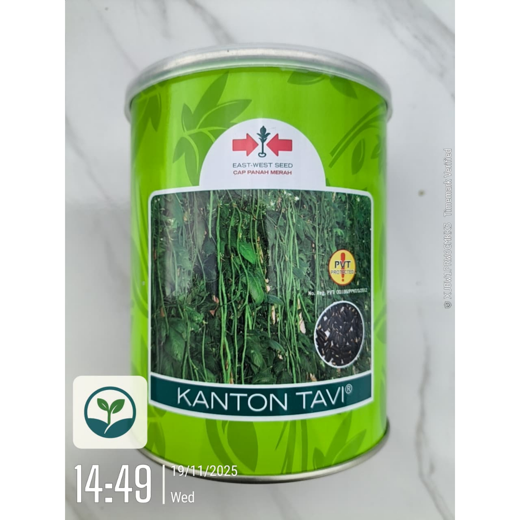Benih Kacang Panjang Kanton Tavi 500 gr - Cap Panah Merah