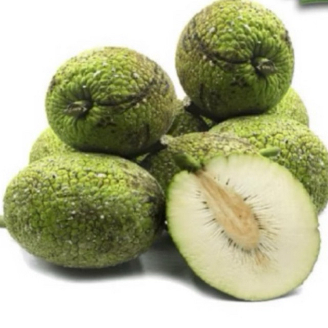 Buah Sukun 1 Butir/ Buah Sukun Manis Gurih/ Keripik Sukun/Stik Sukun/Sukun Murah/Buah Sukun Mentah S