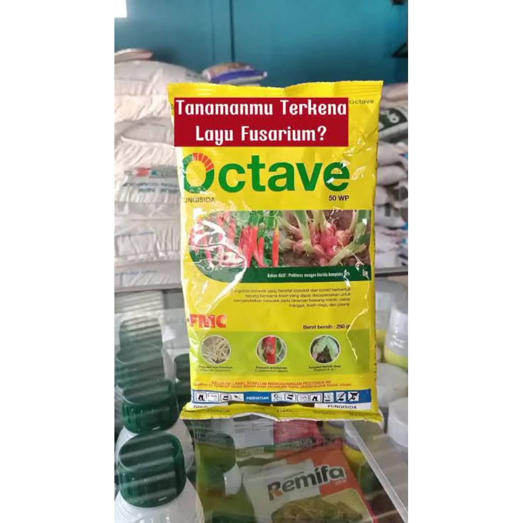 Fungisida Octave 50 wp 250 gram
