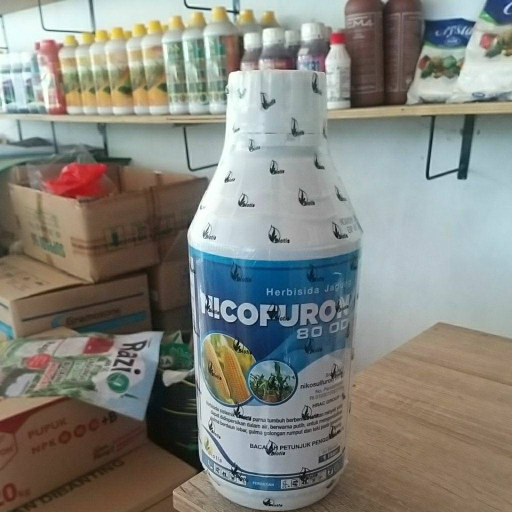 NICOFURON herbisida selektif jagung